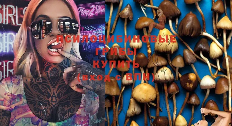 где купить   mega tor  Псилоцибиновые грибы MAGIC MUSHROOMS  Электрогорск 